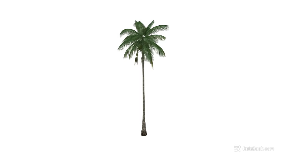 Tropical Palm Tree With Tall Trunk And Lush Green Fronds 3d model 