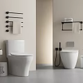 Modern Bathroom Toilet Design with Toilet Paper Holder Towel Rack and Trash Can
