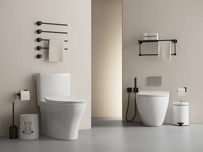 Modern Bathroom Toilet Design with Toilet Paper Holder Towel Rack and Trash Can 3d model