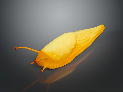 Bright Yellow Slug With Orange Antennae And Sleek Body On Dark Reflective Surface 3d model
