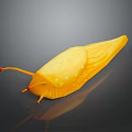 Bright Yellow Slug With Orange Antennae And Sleek Body On Dark Reflective Surface
