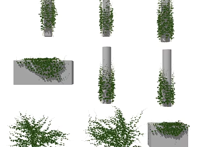 Climbing Green Vines With Natural Foliage Covering Columns And Rectangular Structures 3d model