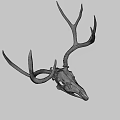 Realistic Detailed White Deer Skull With Large Antlers On Dark Background