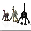 Three Mythical Bird Like Animals With Colorful Feather Designs Standing On White Background