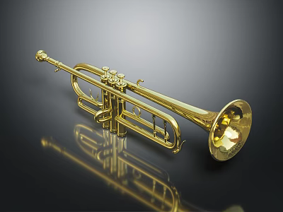 Shiny Golden Brass Trumpet with Reflection on Black Display Background 3d model