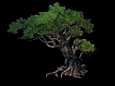 Large Mature Arbor With Thick Trunk Developed Roots And Lush Green Leaves 3d model