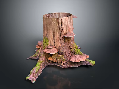 Natural Wooden Stump Decorative Ornament With Green Moss And Pink Mushrooms 3d model