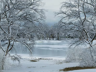 Scenic Winter Garden Landscape With Snow Covered Trees And Frozen Lake View 3d model