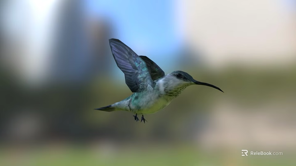 Colorful Hummingbird Flying With Spread Wings In Natural Outdoor Scene 3d model 