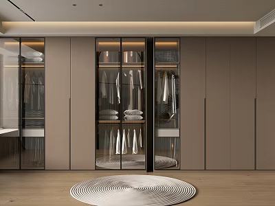 Modern Walk in Closet Interior Design With Glass Door Cabinets And Hanging Clothes 3d model