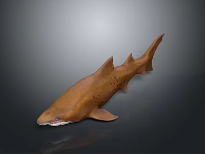 Realistic Brown Spotted Shark 3D Model With Detailed Design And Dark Background Reflection 3d model
