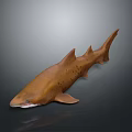 Realistic Brown Spotted Shark 3D Model With Detailed Design And Dark Background Reflection