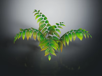 Lush Branching Foliage Plant with Green Leaves Yellow Edges and Shiny Texture on Dark Background 3d model