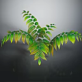 Lush Branching Foliage Plant with Green Leaves Yellow Edges and Shiny Texture on Dark Background
