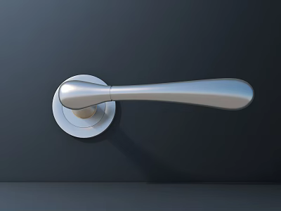 Sleek Silver Metallic Door Handle With Modern Design On Dark Surface 3d model