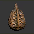 Single Whole Brown Walnut With Natural Textured Shell And Smooth Reflection 3d model