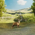 Red Deer Stag Standing In Green Meadow With Trees And Rolling Hills