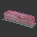 Pork Bacon Meat With Colorful Label On Green Tray And Black Background
