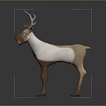 Standing Reindeer With Light Brown And White Coat And Antlers On Gray Background