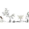 Elegant Flower Vases With Green Branches And Various Flowers In White Red Design