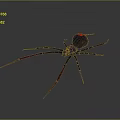 Black Spider With Red Legs And Red Abdomen Spot On Gray Background