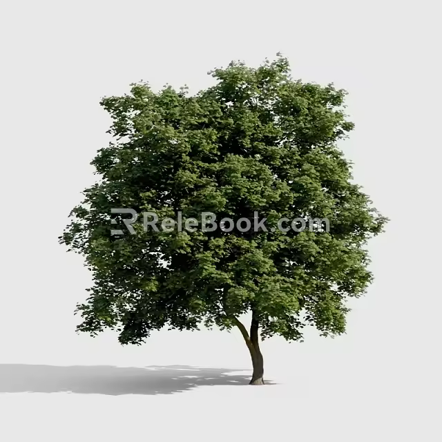 Tree 3d model