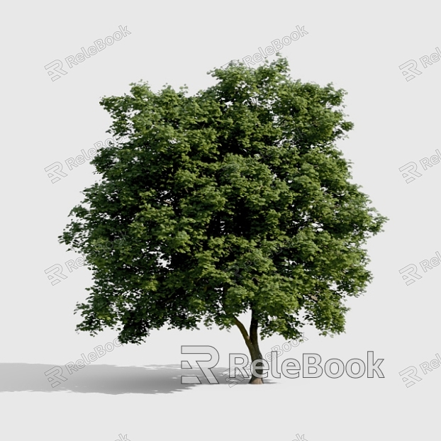 Tree model