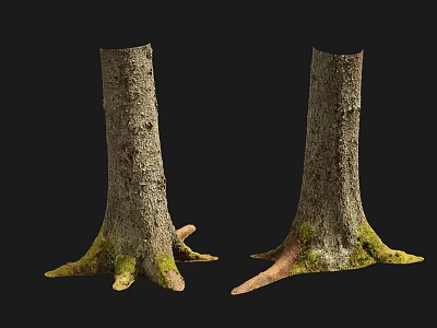 Natural Stone and Wood Tree Trunks with Mossy Roots on Black Background 3d model