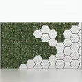 Modern Background Wall With Green Plant Section And White Hexagonal Tiles And Striped Accents