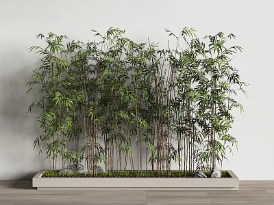 Bamboo Plants In Rectangular Planter For Interior Decor 3d model