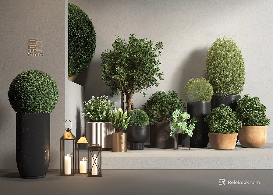 Decorative Bonsai Potted Plants With Various Shapes And Different Pots On Steps 3d model