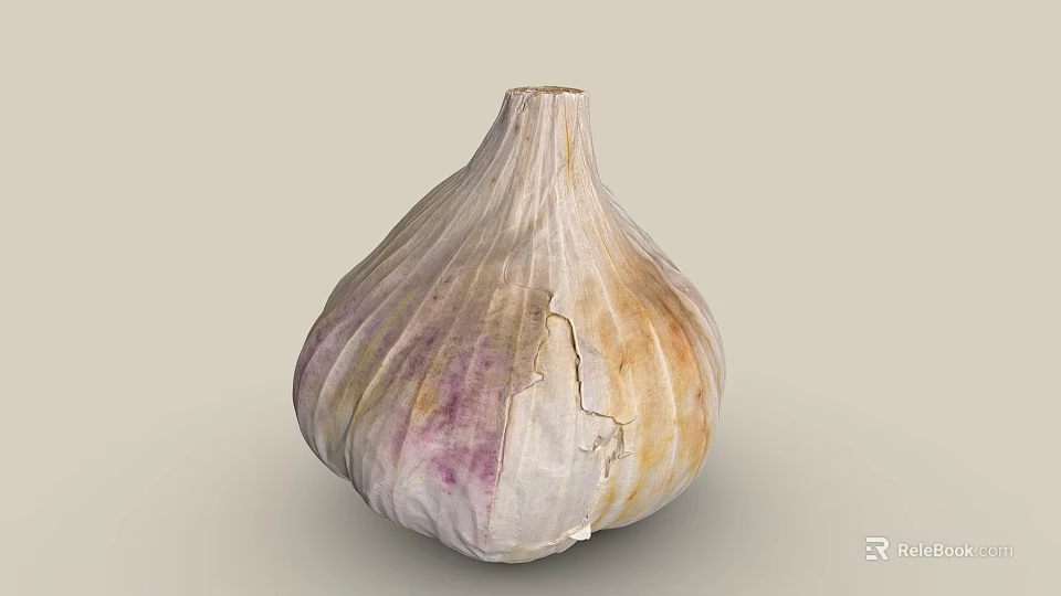 Fresh Natural Garlic Bulb With Purple And Yellow Cracked Skin Texture 3d model 