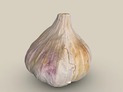 Fresh Natural Garlic Bulb With Purple And Yellow Cracked Skin Texture 3d model