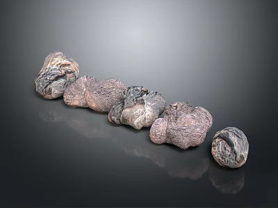 Natural Stone And Wood Decorative Pieces Arranged In A Line On Dark Reflective Surface 3d model