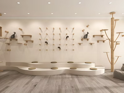 Indoor Cat Playroom With Wooden Shelves Wall Mounted Perches Platform Beds And Tall Cat Tree 3d model