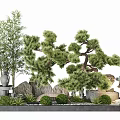 Traditional Courtyard Garden with Bamboo Pine Trees Rock Formations Stone Lanterns Stone Table and Stools