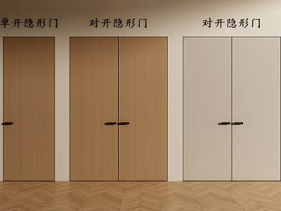 Modern Double Invisible Doors Design For Home Interior With Wooden And Light Colors 3d model