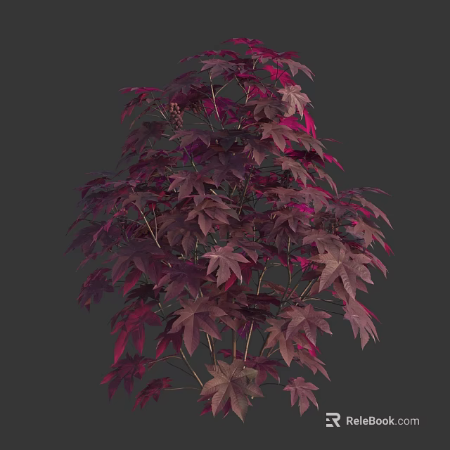 Stunning Ornamental Shrub with Deep Purple and Magenta Foliage for Garden Landscaping 3d model 