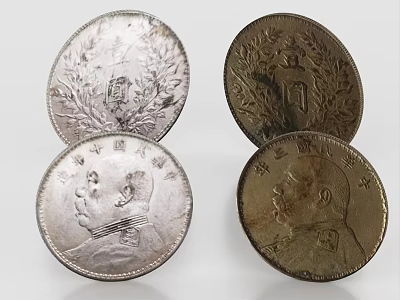 Antique Chinese Republic Era Silver Coins With Portrait Floral Designs As Collectible Daily Items 3d model