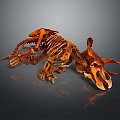 Modern Skeleton Animal Skeleton Skeleton Animal Skeleton 3d model