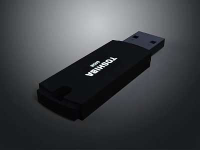 Toshiba WB150 USB Flash Drive Black Portable Electronic Storage Device 3d model