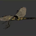Detailed Decorative Dragonfly Model With Transparent Wings Red Head And Black Yellow Body