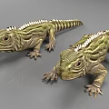 Two Green Lizards With White Spines On Back In Crawling Position On Gray Background 3d model