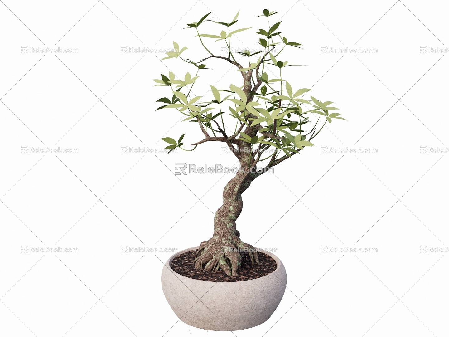 indoor potted plant 3d model