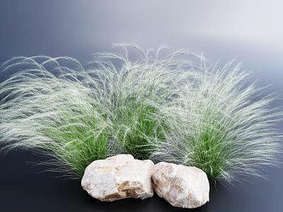 Green Grass with Long White Fluffy Leaves and Two White Stones Against Dark Blue Background 3d model