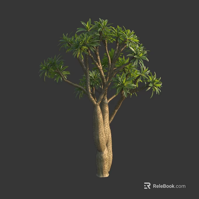 Arbor with Twisted Trunks and Lush Green Foliage Featuring Textured Bark 3d model 