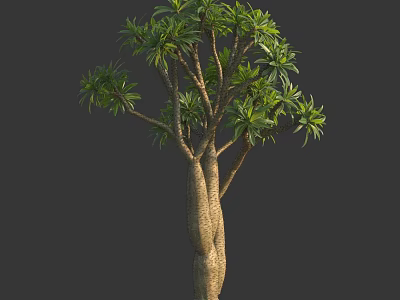 Arbor with Twisted Trunks and Lush Green Foliage Featuring Textured Bark 3d model