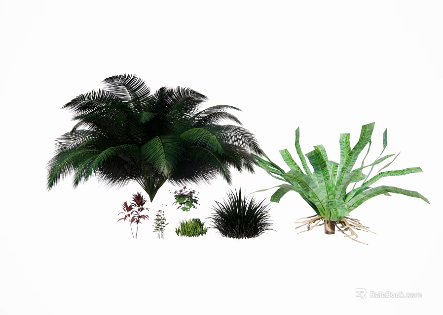 Various Green Plants Collection Including Ferns Palm Like Herbs And Lush Foliage 3d model 