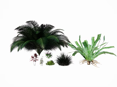 Various Green Plants Collection Including Ferns Palm Like Herbs And Lush Foliage 3d model