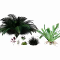 Various Green Plants Collection Including Ferns Palm Like Herbs And Lush Foliage